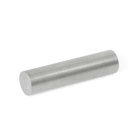 J.W. WINCO GN55.3-AN-12-40 Raw Magnet Rod Shaped GN55.3